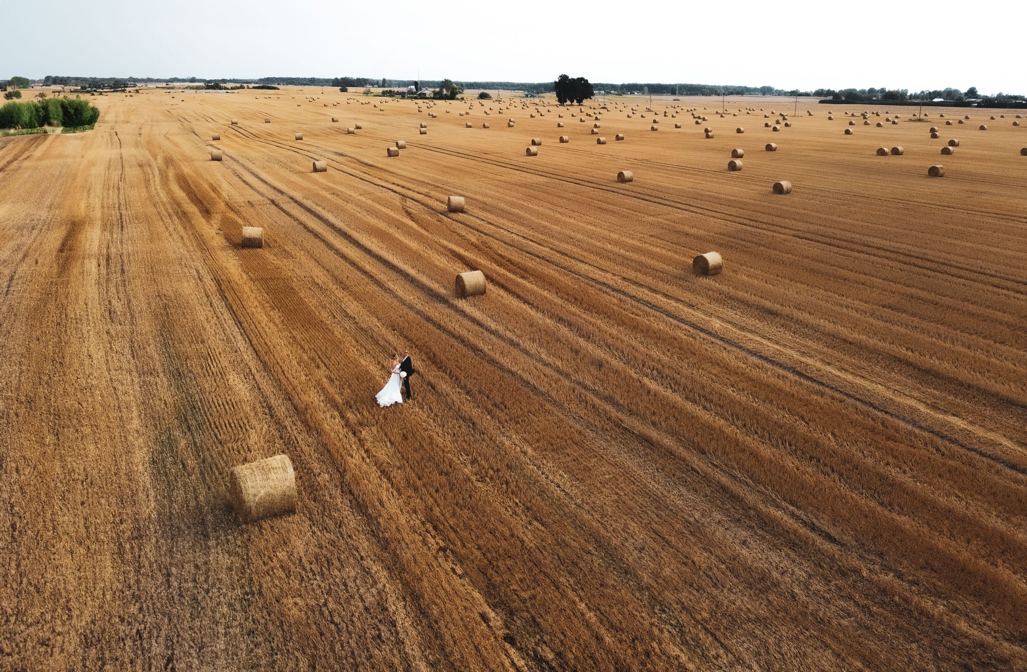 DJI_0438ai-2048×1341 (1)